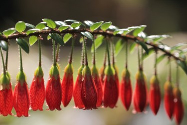 广州番禺区2私人快速借钱网，轻松解决资金难题