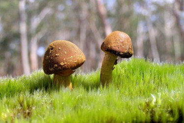 广州番禺区2私人老板放款：轻松融资的秘密通道